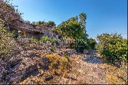 Punta Pennata Island