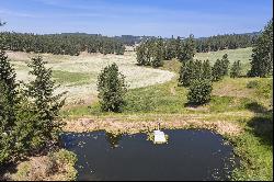 13616 E Mt Spokane Park Land