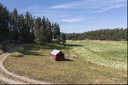 13616 E Mt Spokane Park Land