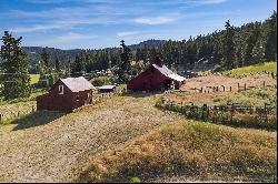 13616 E Mt Spokane Park Land