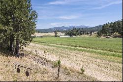 13616 E Mt Spokane Park Land