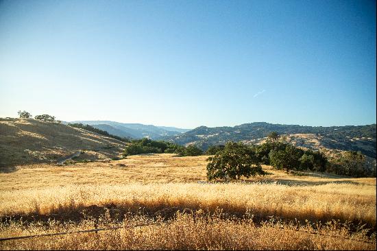 Very Rare Opportunity Alexander Valley Ranch