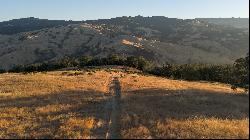 Very Rare Opportunity Alexander Valley Ranch