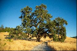 Very Rare Opportunity Alexander Valley Ranch