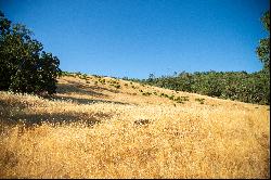 Very Rare Opportunity Alexander Valley Ranch