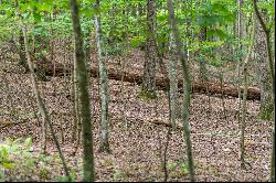 Gentle Laying Estate-Sized Lot in the North Georgia Mountains