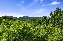 Gentle Laying Estate-Sized Lot in the North Georgia Mountains