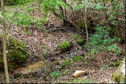 Gentle Laying Estate-Sized Lot in the North Georgia Mountains