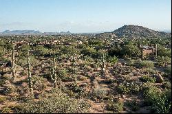 Saguaro Forest