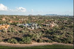 Saguaro Forest