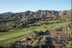 Saguaro Forest