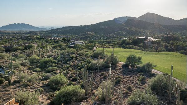 Saguaro Forest