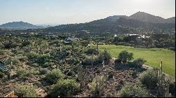 Saguaro Forest