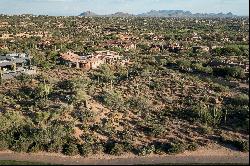 Saguaro Forest