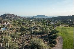 Saguaro Forest