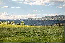 ONE OF THE VERY BEST EQUESTRIAN/RANCH ESTATES IN THE ROARING FORK VALLEY!