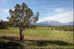 ONE OF THE VERY BEST EQUESTRIAN/RANCH ESTATES IN THE ROARING FORK VALLEY!