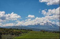 ONE OF THE VERY BEST EQUESTRIAN/RANCH ESTATES IN THE ROARING FORK VALLEY!