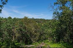 10991 Sunset Drive, Sutter Creek, CA 95685