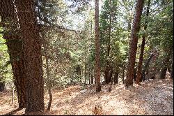 27336 North Bay Road, Lake Arrowhead, CA 92352