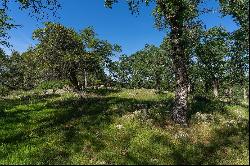 10865 Sunset Drive, Sutter Creek, CA 95685