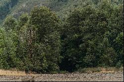 Pillán Farm, Chilean Patagonia