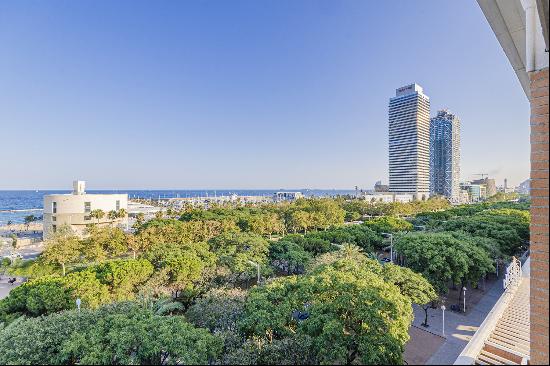 Exceptional spacious duplex penthouse with terrace on the seafront