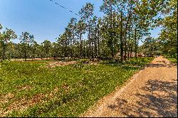 Lake Tahoe Drive, Covington, LA 70433