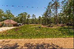 Lake Tahoe Drive, Covington, LA 70433