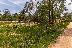 Lake Tahoe Drive, Covington, LA 70433