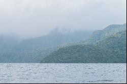 Magdalena Island, Chilean Patagonia, Puerto Cisnes