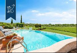 Agritourism with 4 Apartments, Garden with Pool and Olive grove for Sale in Pienza in the 