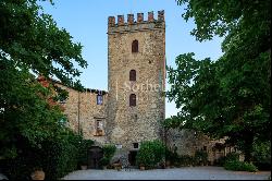 Medieval castle with pool, tennis court and tree house