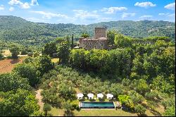 Medieval castle with pool, tennis court and tree house