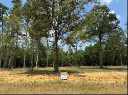 Lot 469 Shade Tree Court, Abita Springs LA 70420