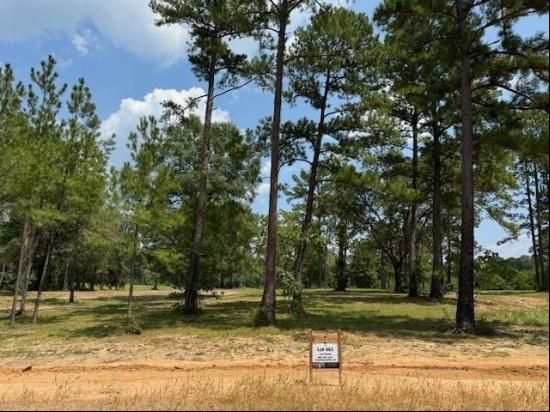 Lot 465 Shade Tree Court, Abita Springs LA 70420