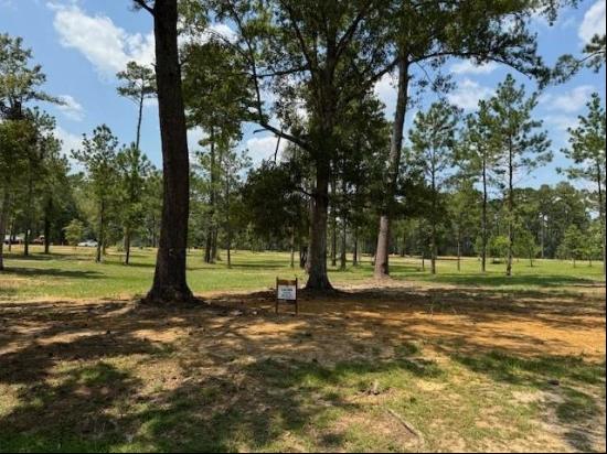 Lot 458 Chinawood Drive, Abita Springs LA 70420