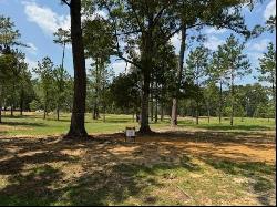 Lot 458 Chinawood Drive, Abita Springs LA 70420