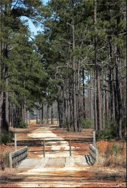 Lot 458 Chinawood Drive, Abita Springs LA 70420