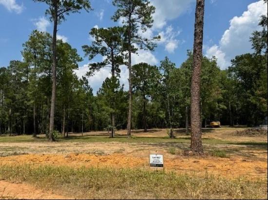 Lot 467 Shade Tree Court, Abita Springs LA 70420