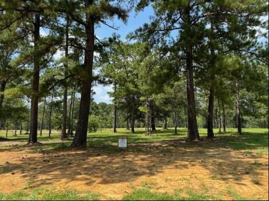 Lot 457 Chinawood Drive, Abita Springs LA 70420