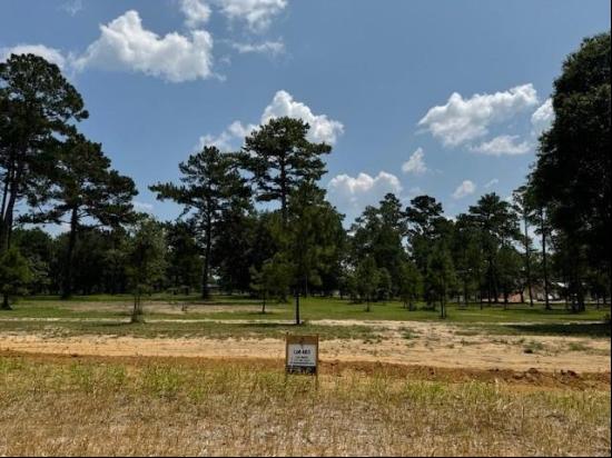 Lot 461 Shade Tree Court, Abita Springs LA 70420