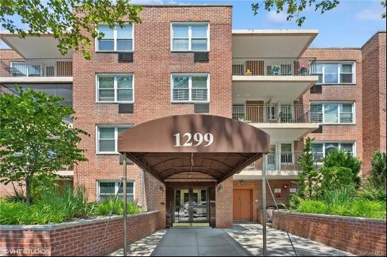 1299 Palmer Avenue #228, Larchmont NY 10538