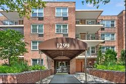 1299 Palmer Avenue #228, Larchmont NY 10538