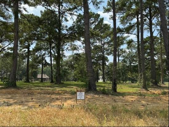 Lot 456 The Woods Avenue, Abita Springs LA 70420