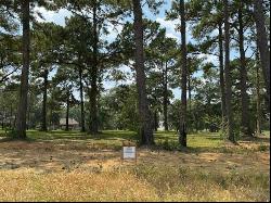 Lot 456 The Woods Avenue, Abita Springs LA 70420