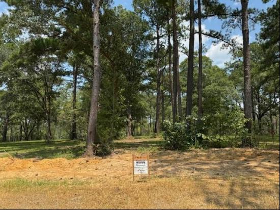 Lot 480 The Woods Avenue, Abita Springs LA 70420