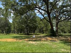 Lot 456 Chinawood Drive, Abita Springs LA 70420