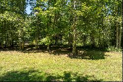 Two Acres on Toccoa River Minutes From Downtown Blue Ridge