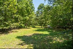 Two Acres on Toccoa River Minutes From Downtown Blue Ridge